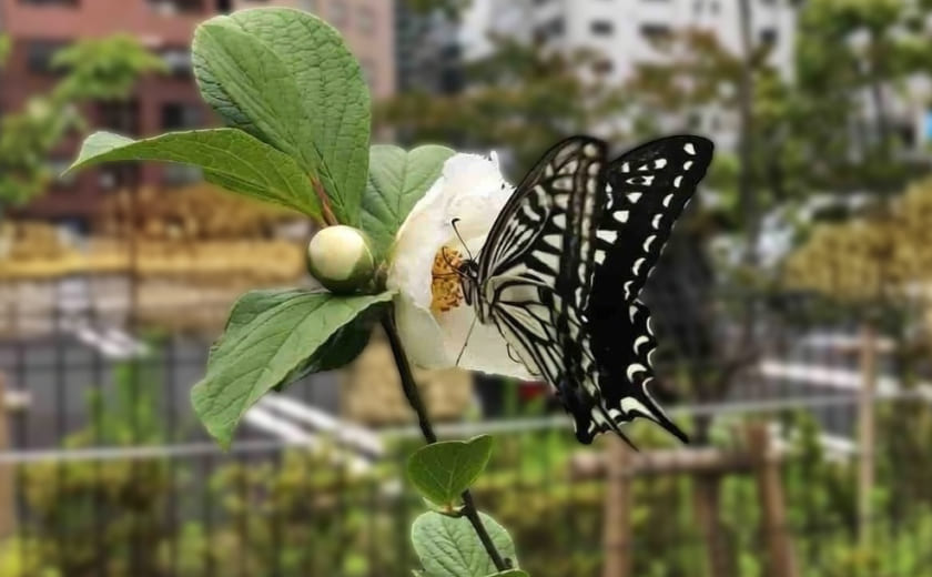 アザーサービス